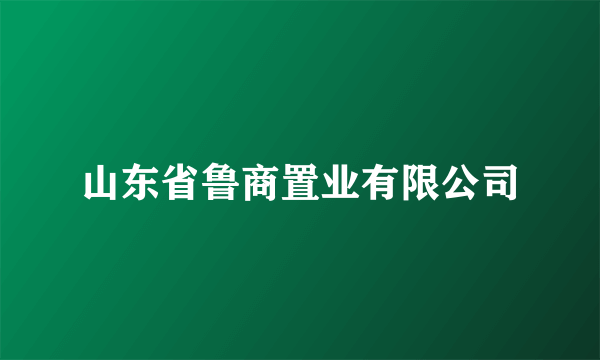 山东省鲁商置业有限公司