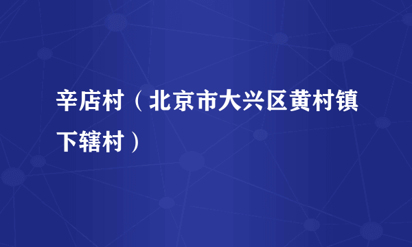 辛店村（北京市大兴区黄村镇下辖村）