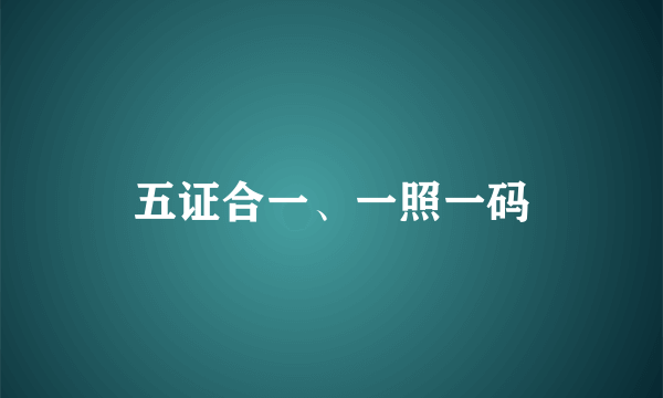 五证合一、一照一码