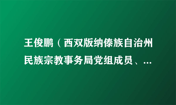 王俊鹏（西双版纳傣族自治州民族宗教事务局党组成员、副局长）