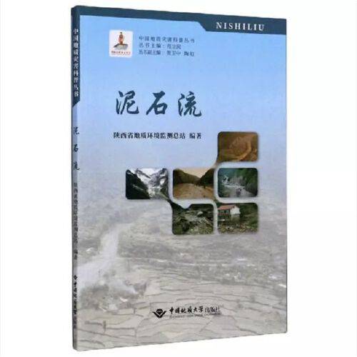 泥石流（2019年中国地质大学出版社出版的图书）