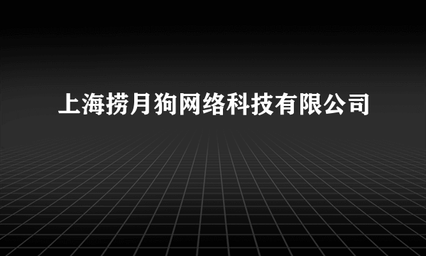 上海捞月狗网络科技有限公司