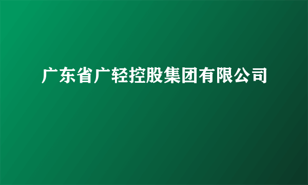 广东省广轻控股集团有限公司