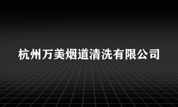 杭州万美烟道清洗有限公司