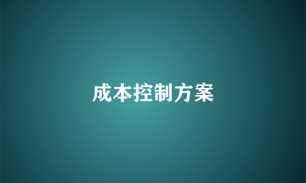 成本控制方案