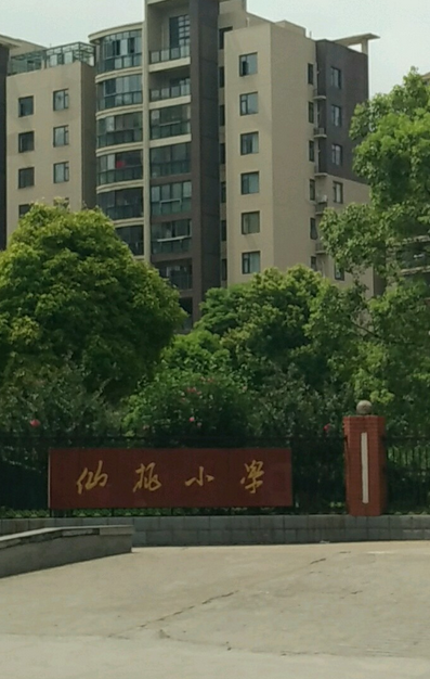 仙桃市仙桃小学