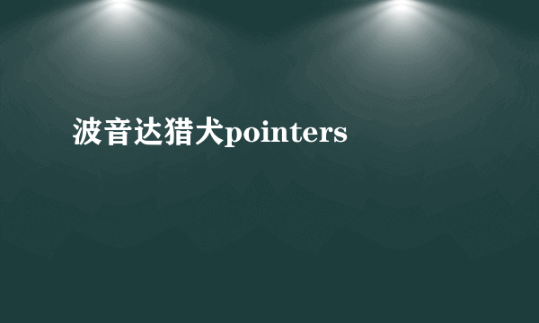 波音达猎犬pointers