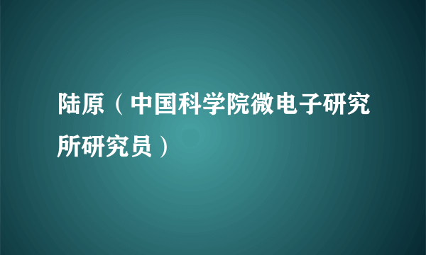 陆原（中国科学院微电子研究所研究员）