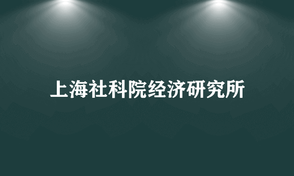 上海社科院经济研究所