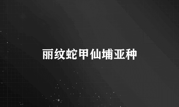 丽纹蛇甲仙埔亚种