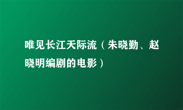 唯见长江天际流（朱晓勤、赵晓明编剧的电影）