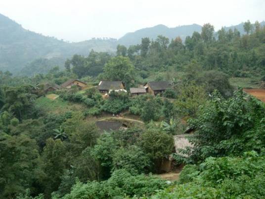 棉花地自然村