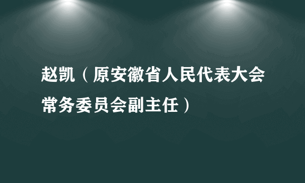 赵凯（原安徽省人民代表大会常务委员会副主任）