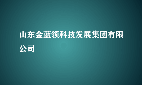 山东金蓝领科技发展集团有限公司