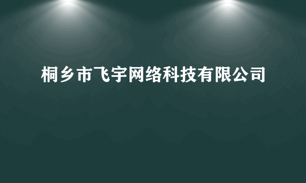 桐乡市飞宇网络科技有限公司