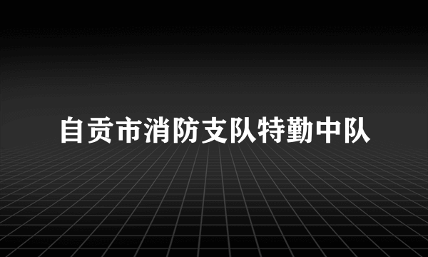 自贡市消防支队特勤中队