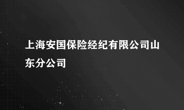 上海安国保险经纪有限公司山东分公司