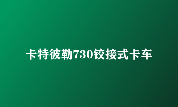 卡特彼勒730铰接式卡车