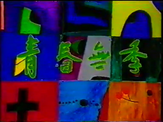 青春无季（1991年张子健主演电视剧）