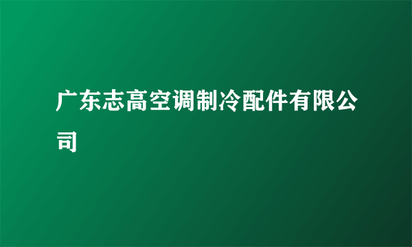 广东志高空调制冷配件有限公司