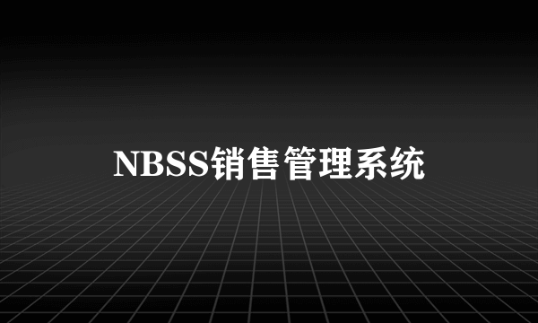 NBSS销售管理系统