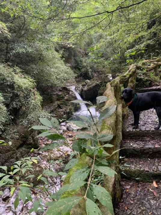 野人谷风景区