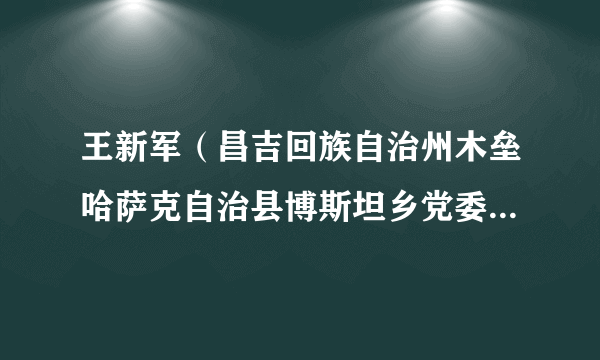 王新军（昌吉回族自治州木垒哈萨克自治县博斯坦乡党委委员、副书记）