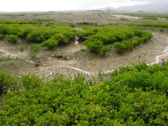 泉州湾河口湿地省级自然保护区