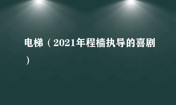 电梯（2021年程樯执导的喜剧）