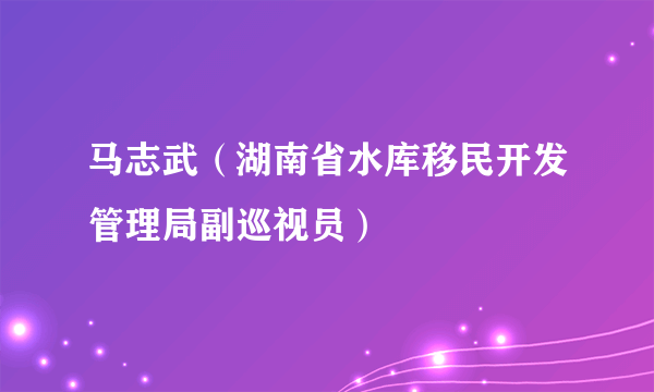 马志武（湖南省水库移民开发管理局副巡视员）