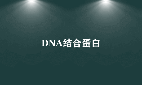 DNA结合蛋白