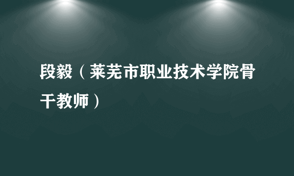 段毅（莱芜市职业技术学院骨干教师）