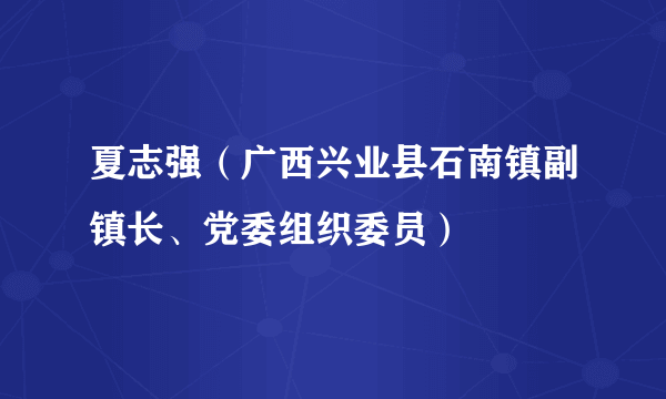 夏志强（广西兴业县石南镇副镇长、党委组织委员）