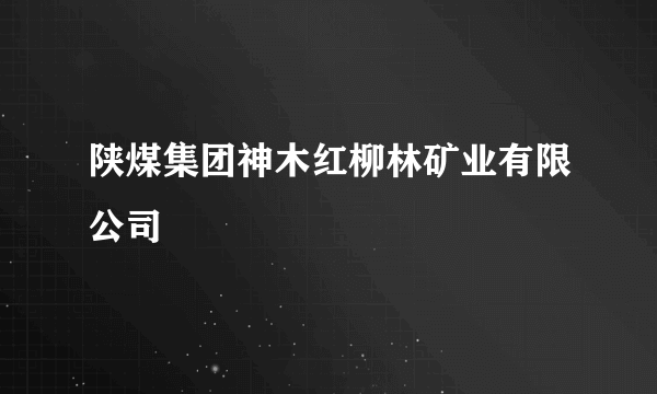 陕煤集团神木红柳林矿业有限公司