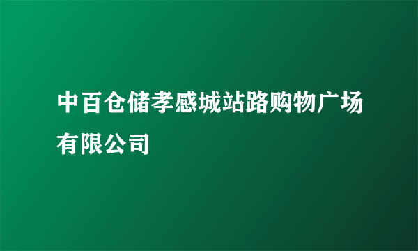 中百仓储孝感城站路购物广场有限公司