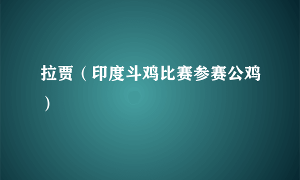 拉贾（印度斗鸡比赛参赛公鸡）