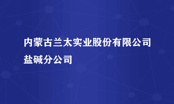 内蒙古兰太实业股份有限公司盐碱分公司