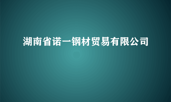 湖南省诺一钢材贸易有限公司