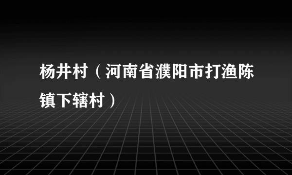 杨井村（河南省濮阳市打渔陈镇下辖村）