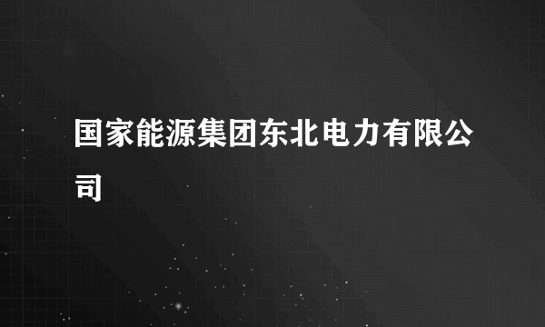 国家能源集团东北电力有限公司