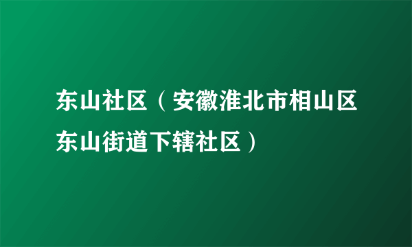 东山社区（安徽淮北市相山区东山街道下辖社区）