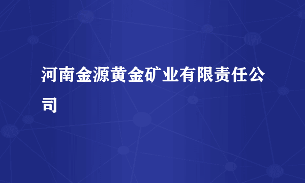 河南金源黄金矿业有限责任公司