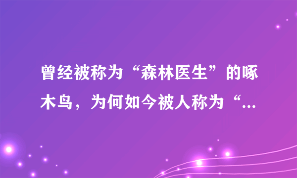 曾经被称为“森林医生”的啄木鸟，为何如今被人称为“庸医”？