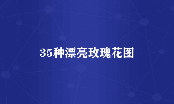 35种漂亮玫瑰花图