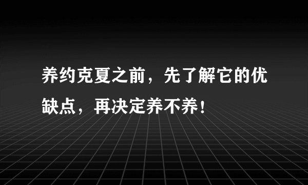 养约克夏之前，先了解它的优缺点，再决定养不养！