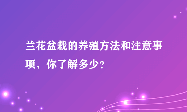 兰花盆栽的养殖方法和注意事项，你了解多少？