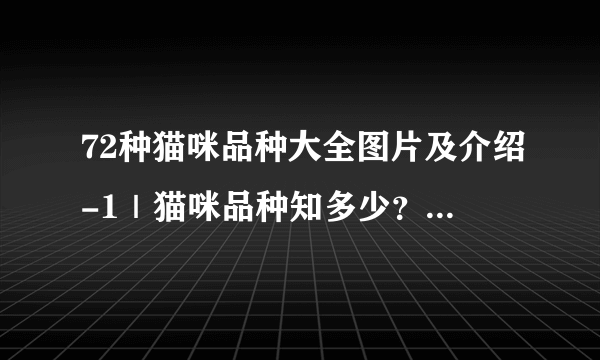 72种猫咪品种大全图片及介绍-1｜猫咪品种知多少？看看你认识多少