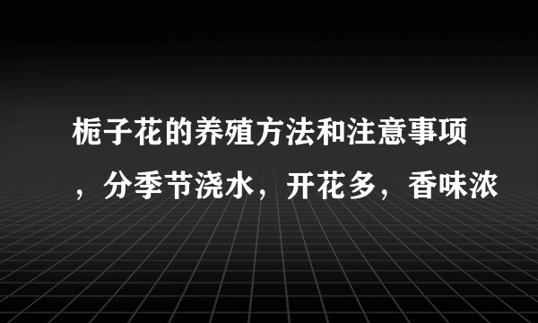 栀子花的养殖方法和注意事项，分季节浇水，开花多，香味浓