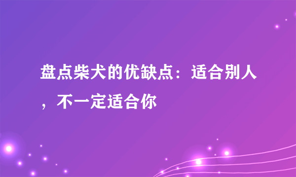 盘点柴犬的优缺点：适合别人，不一定适合你