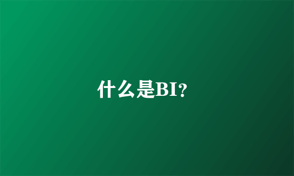 什么是BI？